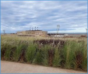 PARC ORNITHOLOGIQUE DE LA LAGUNE DE MARCHICA - AASLM